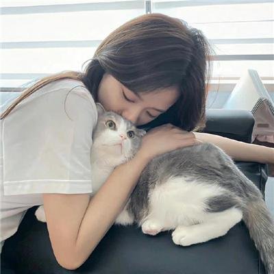 麒麟之翼